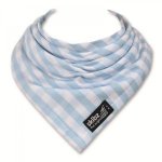 Pale Blue Gingham Skibz Teething Bib